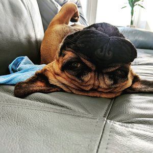 Meet your Posher, Laurie